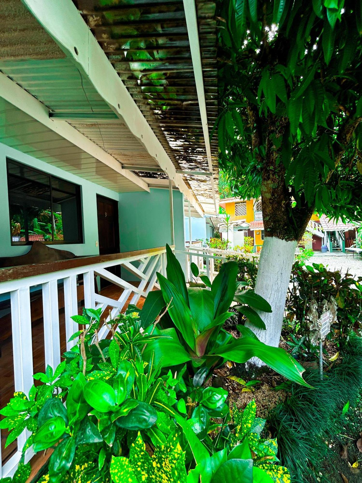 Cabinas Ole Caribe Puerto Viejo de Talamanca Exterior photo
